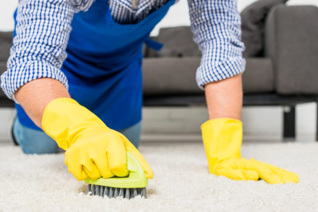 pet stain removal