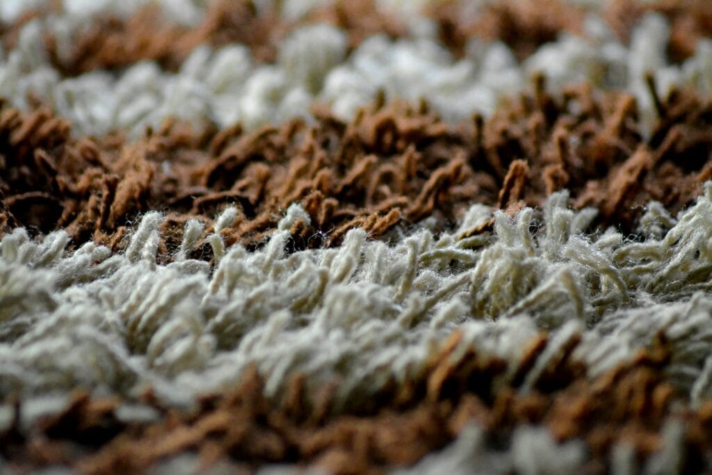 carpet fibers