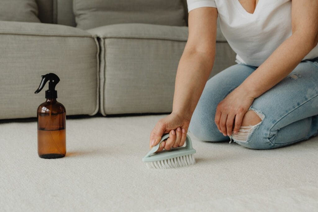 Carpet Needs Shampooing