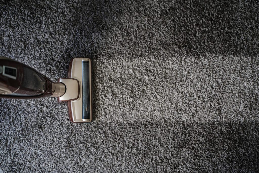 carpet cleaning