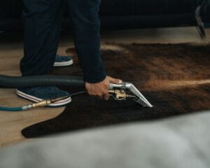 Professional Carpet Cleaning