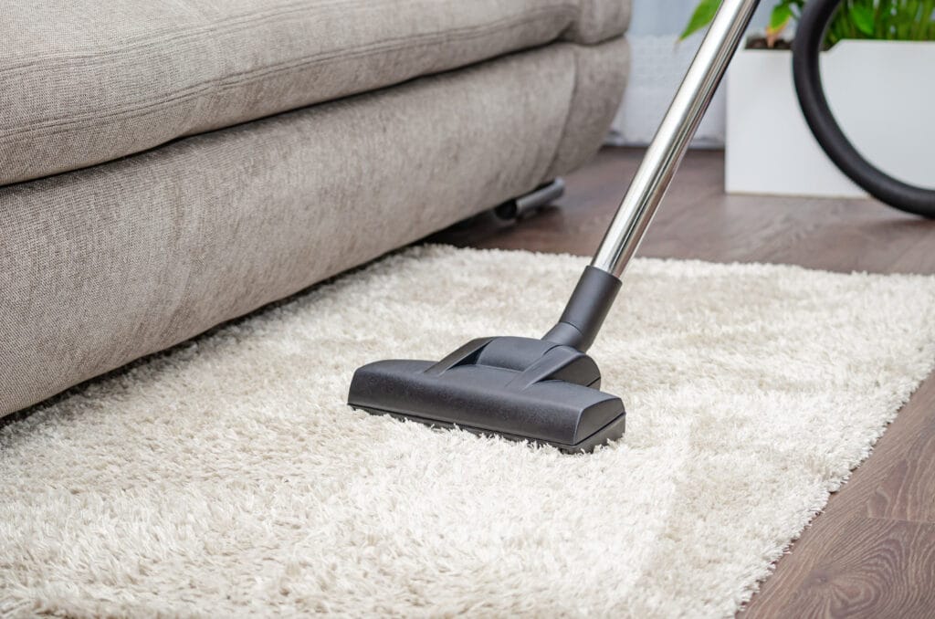 Area Rug Cleaning