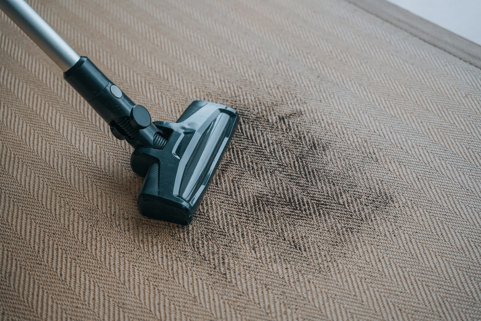 Carpet Stain Removal